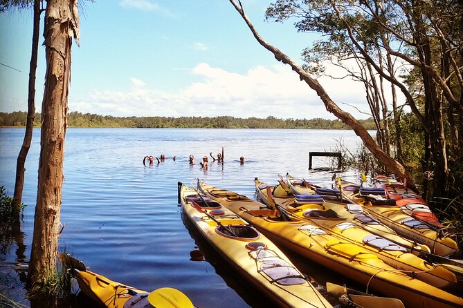 Full-Day Guided Noosa Everglades Kayak Tour - Timing and pacing: 6 hours that don’t feel like a full-day chore
