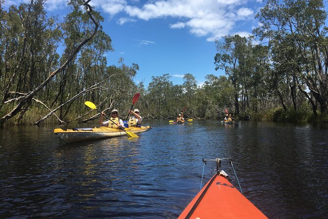 Full-Day Guided Noosa Everglades Kayak Tour - Price and value: what $149.90 buys you (and why it adds up)