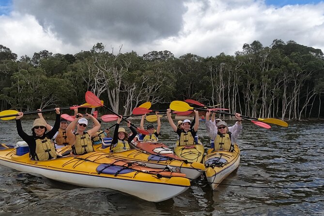 Full-Day Guided Noosa Everglades Kayak Tour - Upper Noosa River and the River of Mirrors: how the best scenery works