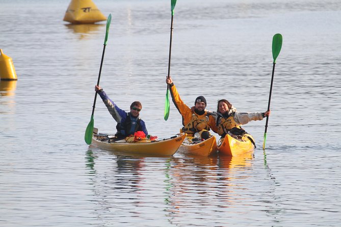 Full day Guided Sea Kayak Tour from Picton - The sheltered lunch stop: food on the water, not just beside it