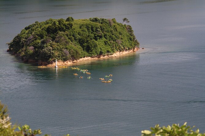 Full day Guided Sea Kayak Tour from Picton - Kayaks, spray decks, and dry bags: your gear setup