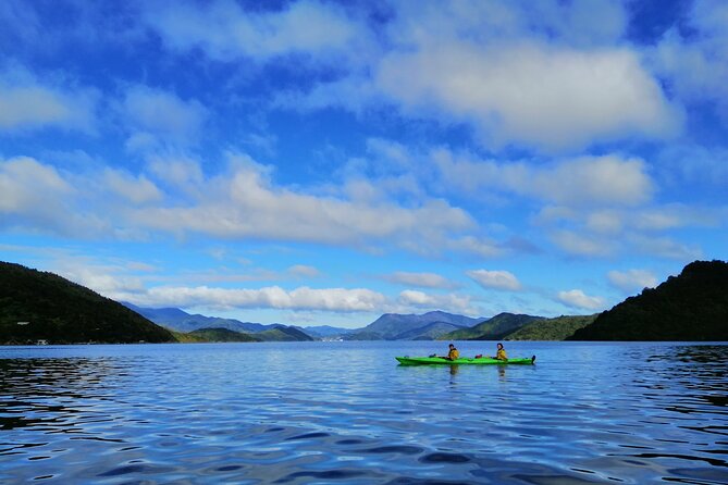 Full day Guided Sea Kayak Tour from Picton - Who this tour suits best (and who should think twice)