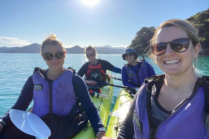 Full-Day Guided Sea Kayak Trip from Picton - Key points before you go