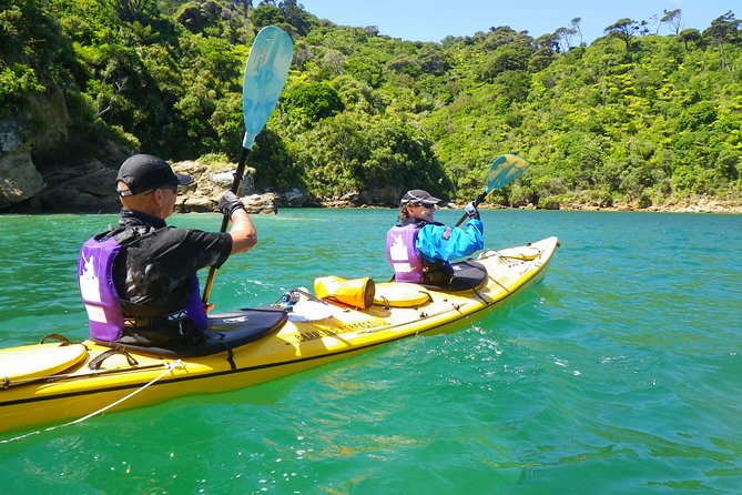 Full-Day Guided Sea Kayak Trip from Picton - The day’s flow: paddle out, tea on shore, then lunch in a tranquil bay
