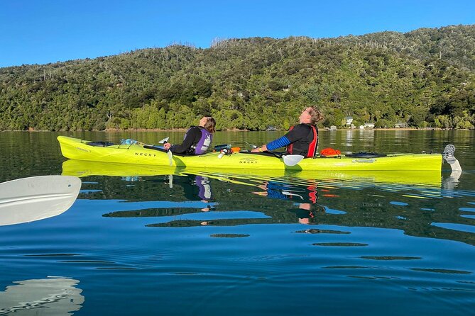 Full-Day Guided Sea Kayak Trip from Picton - Guide commentary: natural and cultural history without the lecture tone
