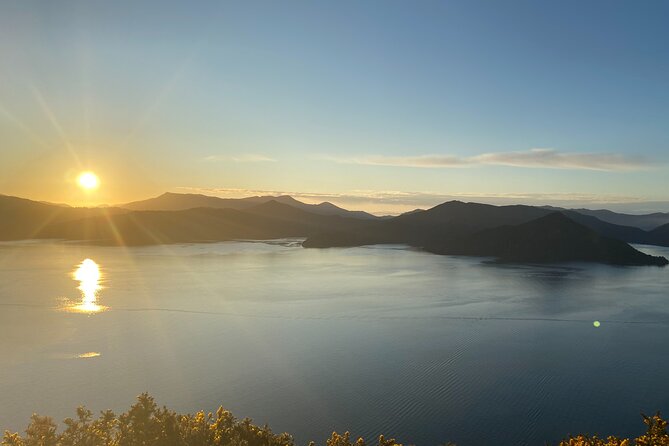 Full-Day Guided Sea Kayak Trip from Picton - Morning tea and lunch: the real value in the included stops