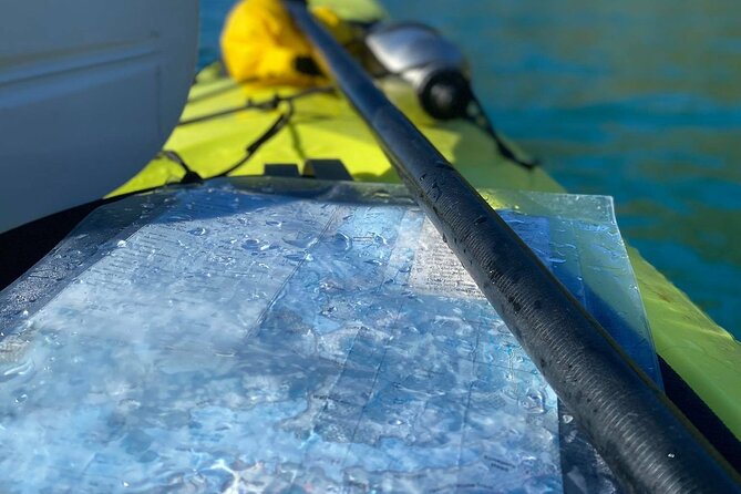 Full-Day Guided Sea Kayak Trip from Picton - Who should book this sea kayaking trip?