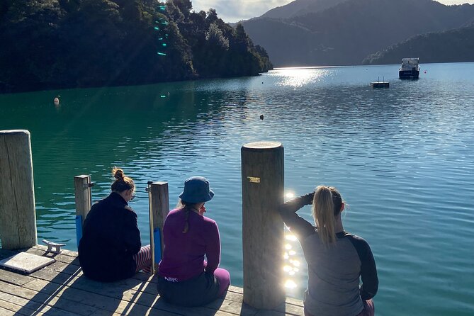 Full-Day Guided Sea Kayak Trip from Picton - What you’ll actually do on the water (and why it feels manageable)
