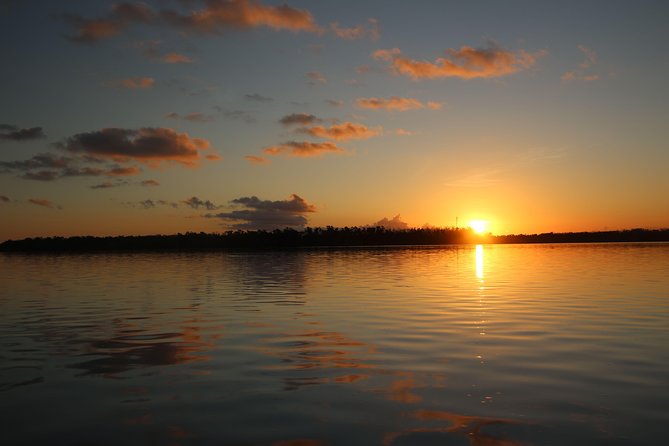 Full-Day Kayak Adventure in the Everglades - The itinerary feel: pacing, downtime, and why it works as a full day