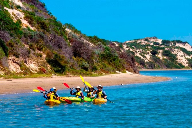 Full Day Kayaking Tour in Coorong National Park - Key things to know before you go