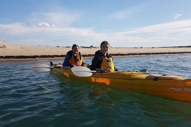 Full Day Kayaking Tour in Coorong National Park - Price and value: why $39 can actually make sense here