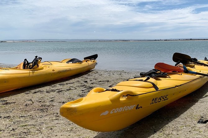 Full Day Kayaking Tour in Coorong National Park - What you’ll do on the water: around three hours of cruising