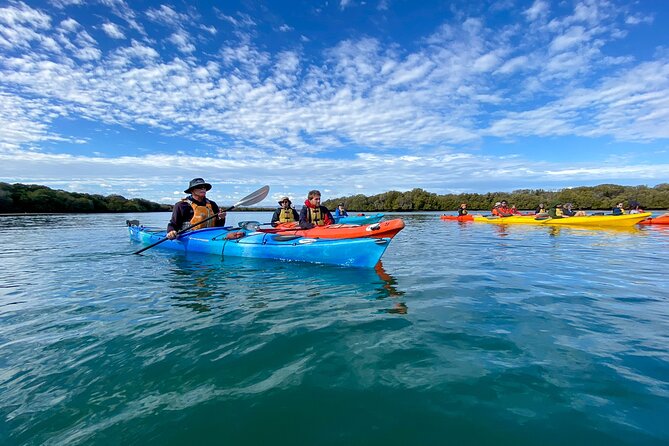 Full Day Kayaking Tour in Coorong National Park - Young Husband Peninsula: the sand dune walk plus a bush tucker-style stop