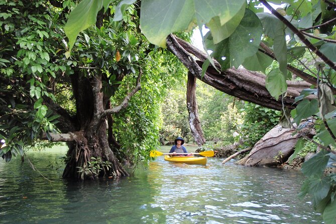 Full Day River Kayaking & Cascades from Port Vila - Lunch Break With a French-Style Meal Before the Cascades