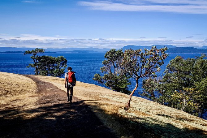 Full Day San Juan Island Kayaking Adventure - Kayaking the Haro Strait: what a 6-hour day is really like