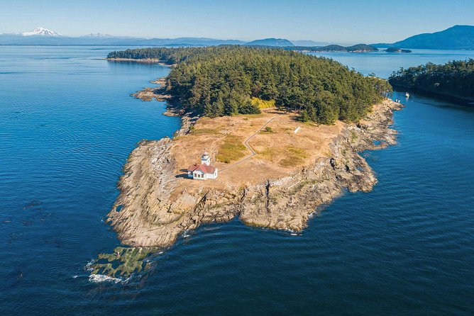 Full Day San Juan Island Kayaking Adventure - San Juan County Park beach time and scenic straits views