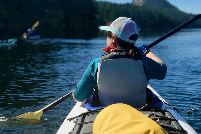 Full Day San Juan Island Kayaking Adventure - Price and value: what you’re paying for at $126.65