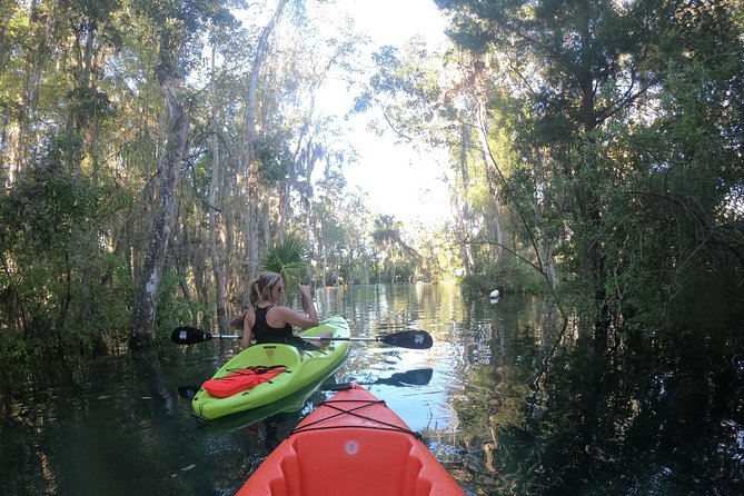 Full Day Tandem Kayak Rental For Two People In Crystal River, Florida - Swimming during manatee season: when the swim package is required