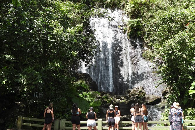 Full-Day Tour: El Yunque, Luquillo Beach, Bio Bay Night Kayaking - Key things to know before you go