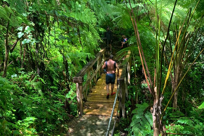 Full-Day Tour: El Yunque, Luquillo Beach, Bio Bay Night Kayaking - A 10-hour trio in Puerto Rico: rainforest, kiosks, and Laguna Grande at night