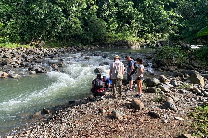 Full-Day Tour: El Yunque, Luquillo Beach, Bio Bay Night Kayaking - The rainforest time vs the day-trip reality