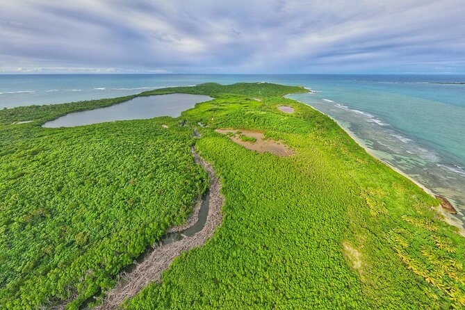 Full-Day Tour: El Yunque, Luquillo Beach, Bio Bay Night Kayaking - Luquillo Beach and the kiosks: 2 hours to eat, shop, and reset