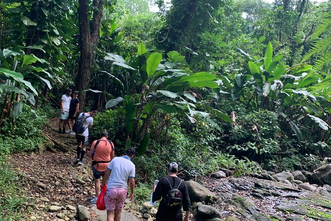 Full-Day Tour: El Yunque, Luquillo Beach, Bio Bay Night Kayaking - Price and value: is $155 reasonable for this mix?