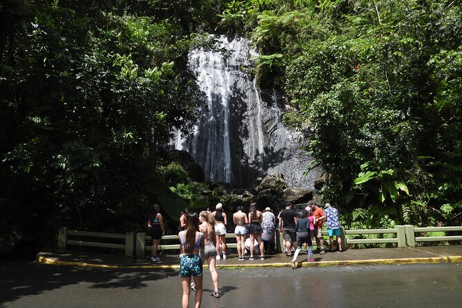Full-Day Tour: El Yunque, Luquillo Beach, Bio Bay Night Kayaking - Practical tips that help you enjoy every stop