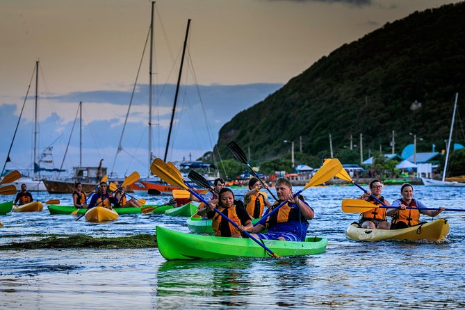 Full-Day Tour: El Yunque, Luquillo Beach, Bio Bay Night Kayaking - El Yunque National Forest: La Coca Falls, Puente Roto, and Torre Yokahu