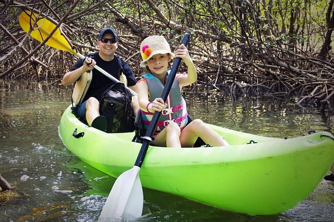 Fully Guided Kayaking Backwater Manatee and Dolphin Tour - Where You Paddle: Cape Canaveral Meets the Cocoa Beach Thousand Islands
