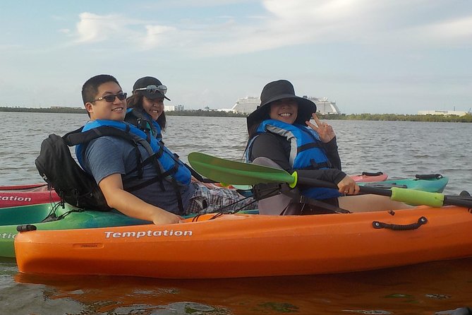 Fully Guided Kayaking Backwater Manatee and Dolphin Tour - Price and Logistics: Is $75 a Good Deal for This Day on the Water?