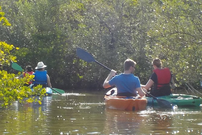Fully Guided Kayaking Backwater Manatee and Dolphin Tour - Wildlife Odds: What You Should Expect on a Typical Day