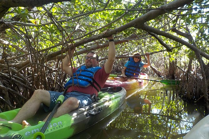 Fully Guided Kayaking Backwater Manatee and Dolphin Tour - Who Should Book This Kayak Tour