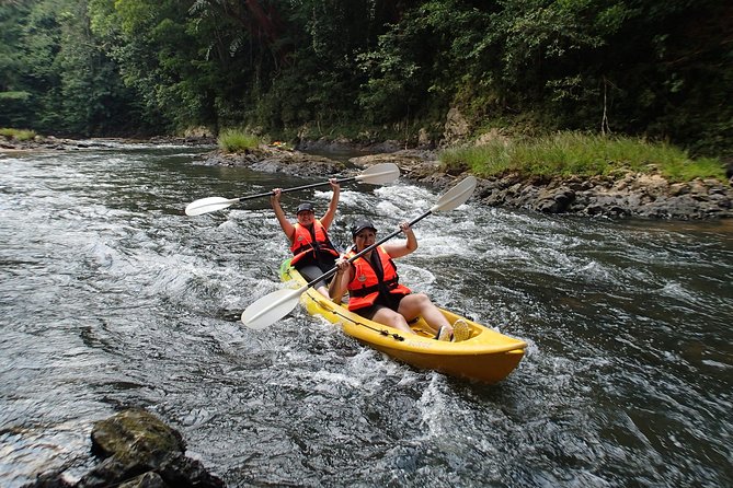 Fun Filled Kayaking Adventure in Kuching - What the guide does (and why it changes the whole day)