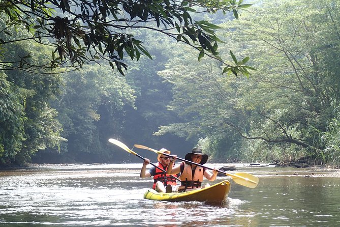 Fun Filled Kayaking Adventure in Kuching - Hotel pickup and the easiest meeting setup in Kuching