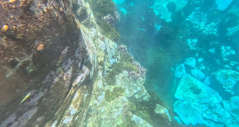 Funchal: Kayak and Snorkel Tour to Garajau NR - Key things you’ll notice on this Garajau kayak and snorkel tour