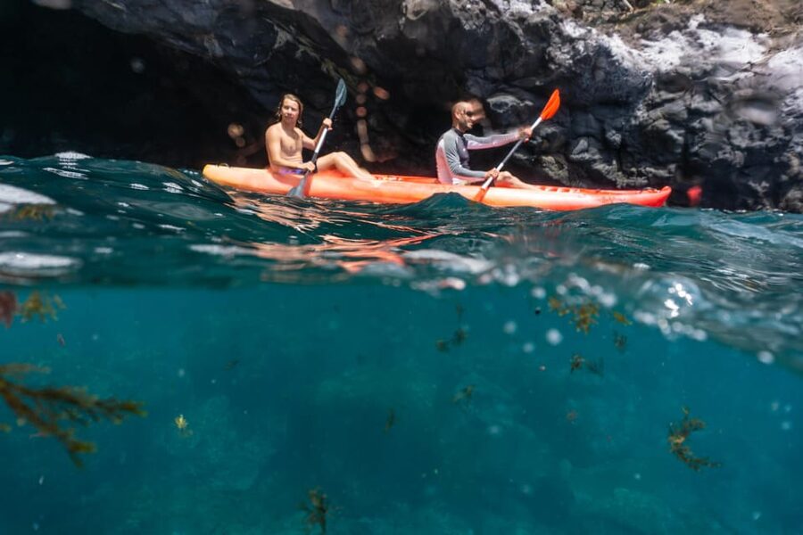 Funchal: KAYAK Rental or Guided tour with snorkeling - Gear-up steps: wetsuits, lifejackets, and a short swim