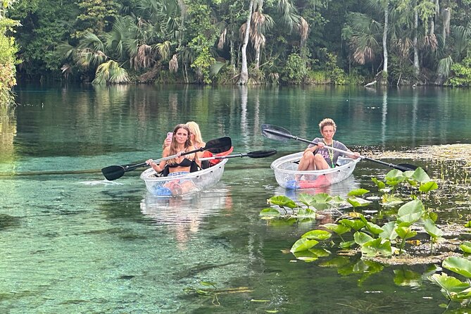 Gator Viewing Clear Kayak Springs Tour - Key highlights worth your attention