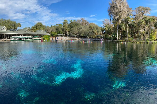 Gator Viewing Clear Kayak Springs Tour - What’s included—and what costs extra