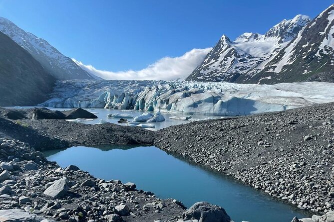 Glacier Blue Kayak & Grandview Tour - Wildlife and photo odds: what to watch for