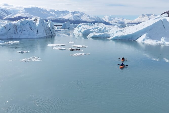 Glacier Blue Kayaking – Knik Glacier Day Tour from Anchorage - Price and what you’re really buying for $599
