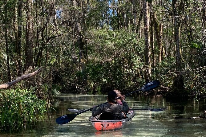 Glass Bottom Kayak Eco Tour through Rainbow Springs - Key Things I’d Mark on Your Map