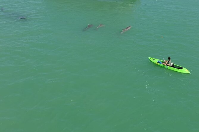 Glass Bottom Kayak Mangrove & Sandbar Adventure in St. Pete Beach - Key reasons to paddle this route