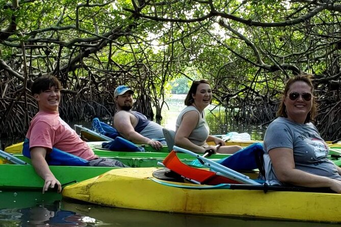 Glass Bottom Kayak Mangrove & Sandbar Adventure in St. Pete Beach - Sandbar hangout: chairs, swimming, snorkeling, and fishing