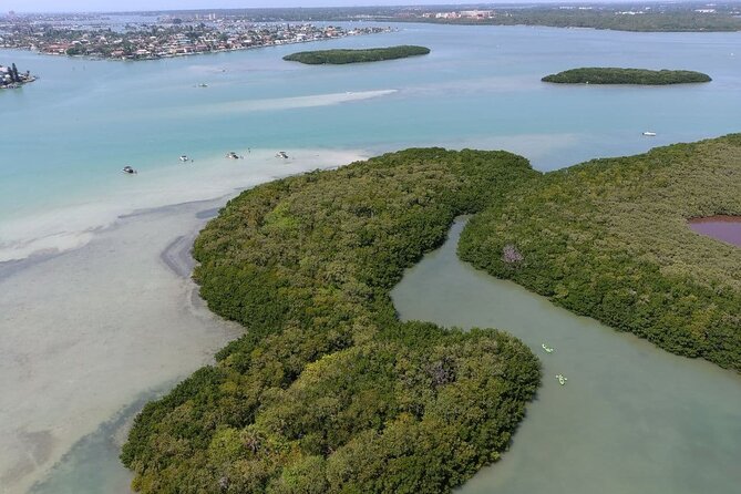 Glass Bottom Kayak Mangrove & Sandbar Adventure in St. Pete Beach - Kayak setup: single or double, plus glass-bottom expectations