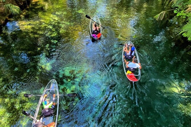 Glass Bottom Kayak Tours of Silver Springs - Key things I’d plan around (before you go)