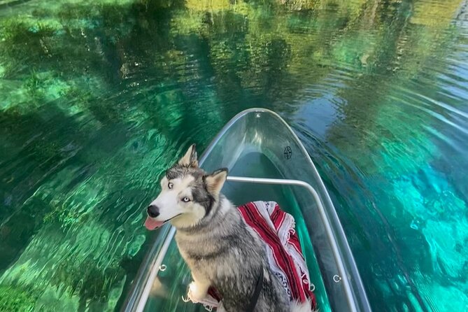 Glass Bottom Kayak Tours of Silver Springs - Small Group Size: Why Max 10 Travelers Matters