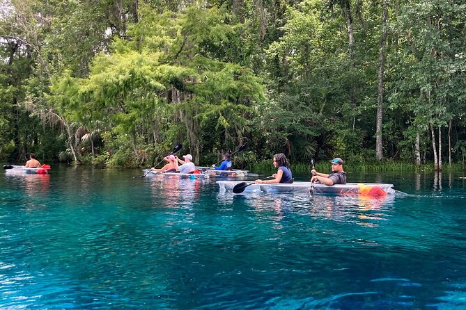 Glass Bottom Kayak Tours of Silver Springs - What to Bring (and What to Not Assume) for a Clear Kayak Trip