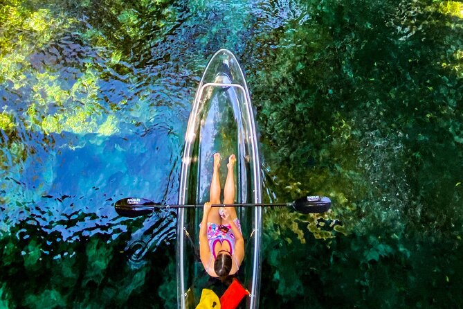 Glass Bottom Kayak Tours of Silver Springs - Best Fit: Who This Tour Is For (and Who Might Want Something Else)