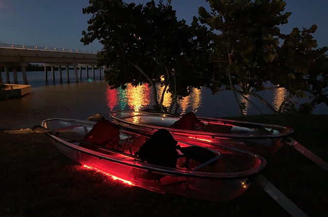 GLOW Clear Kayak Tour - Mangrove Tunnels and Marine Life Spotting (With Facts Along the Way)